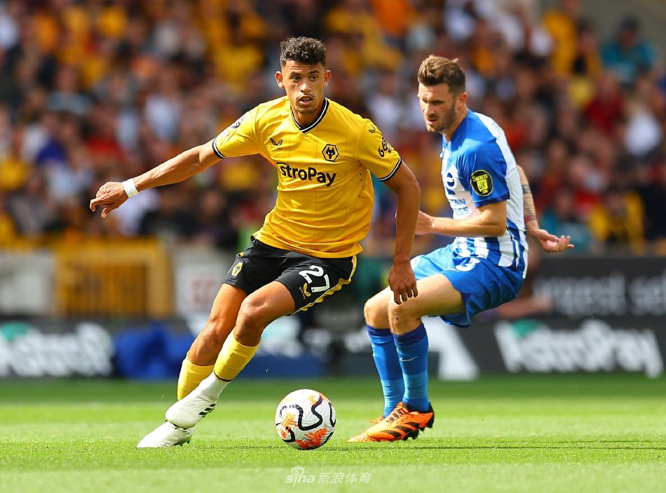 尔扎瓦等球 尔扎瓦等球